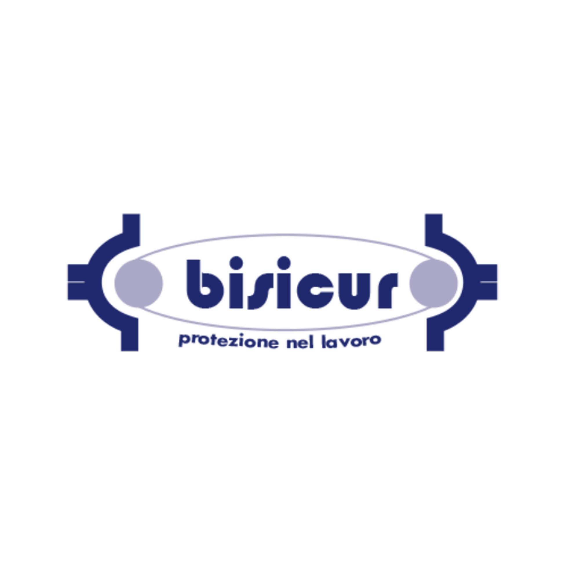 Logo bisicur